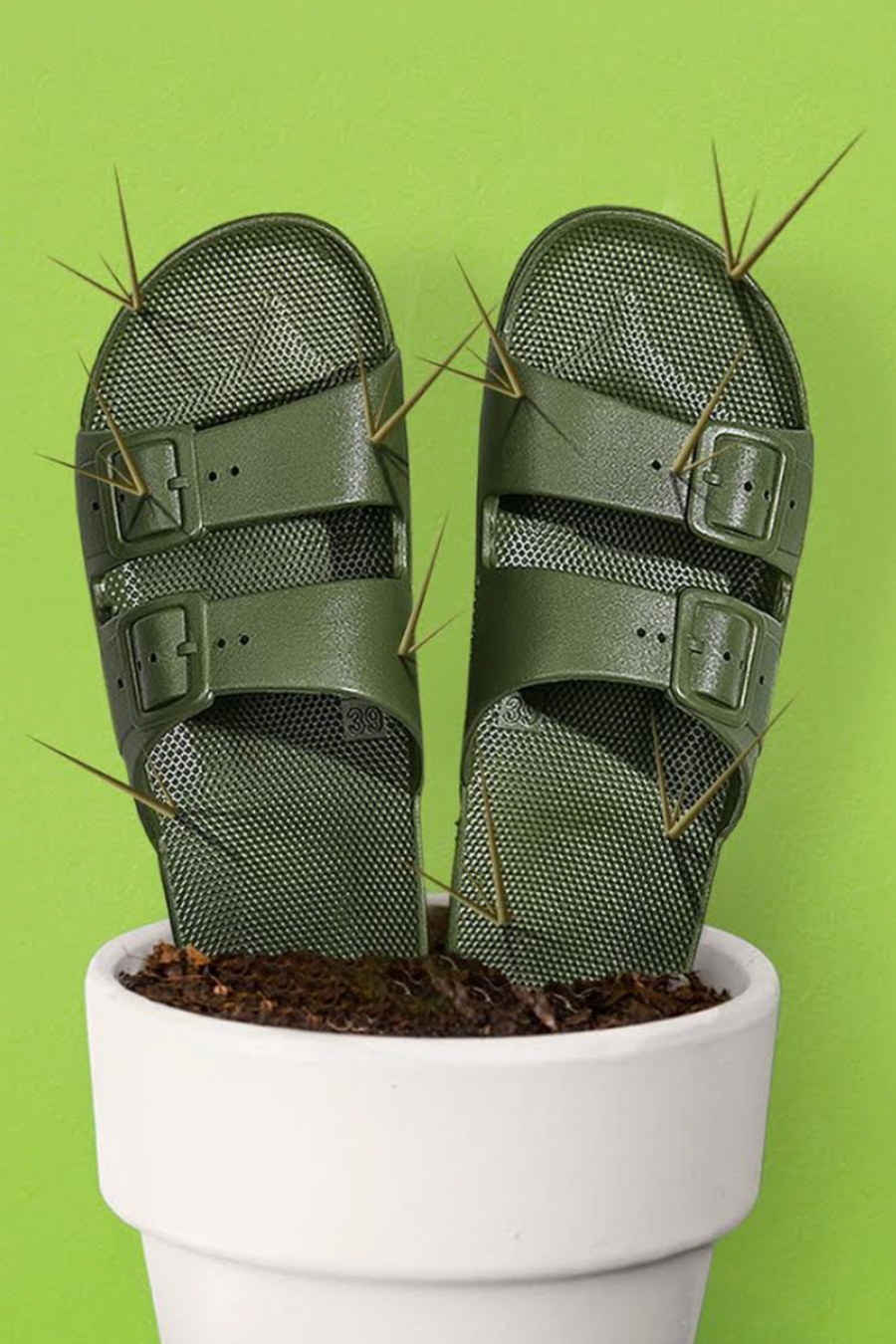 Freedom Moses Slides Cactus